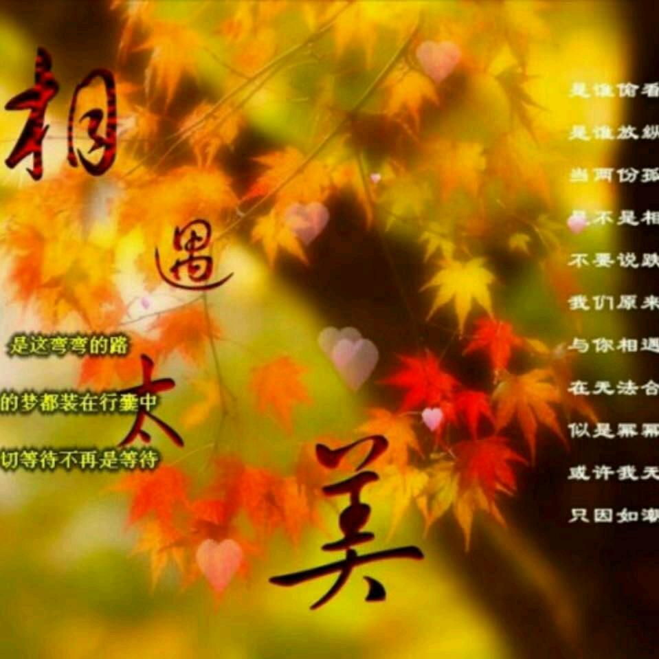 🍁風中承诺🍂