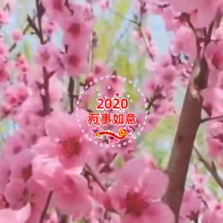 吉祥·如意〈拒私聊〉