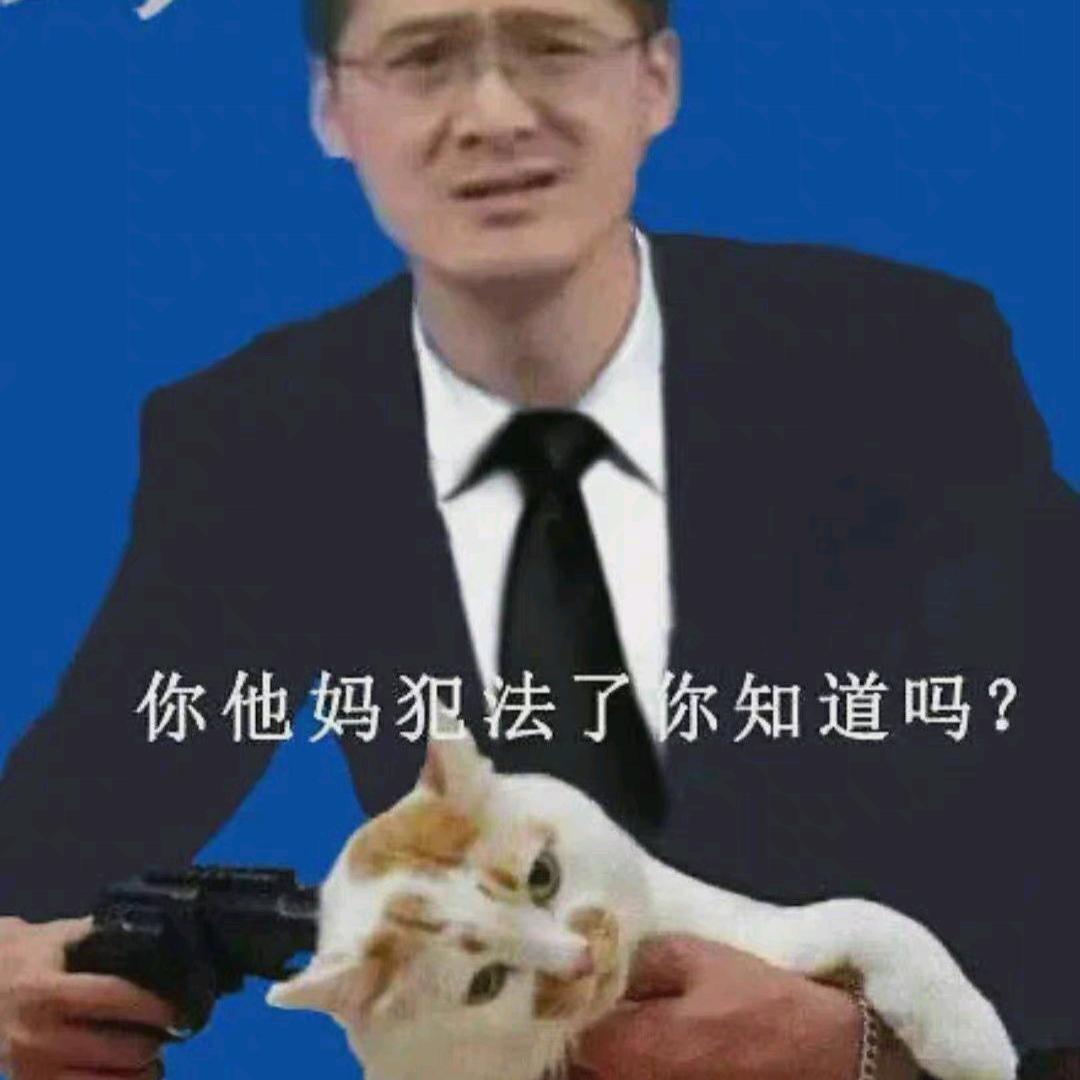 只爱生普洱