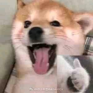 超喜欢有钱啊