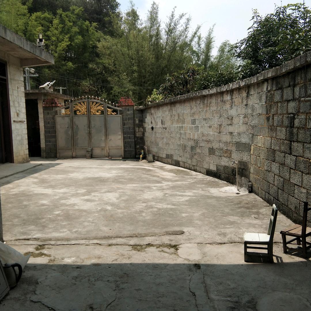 林永
