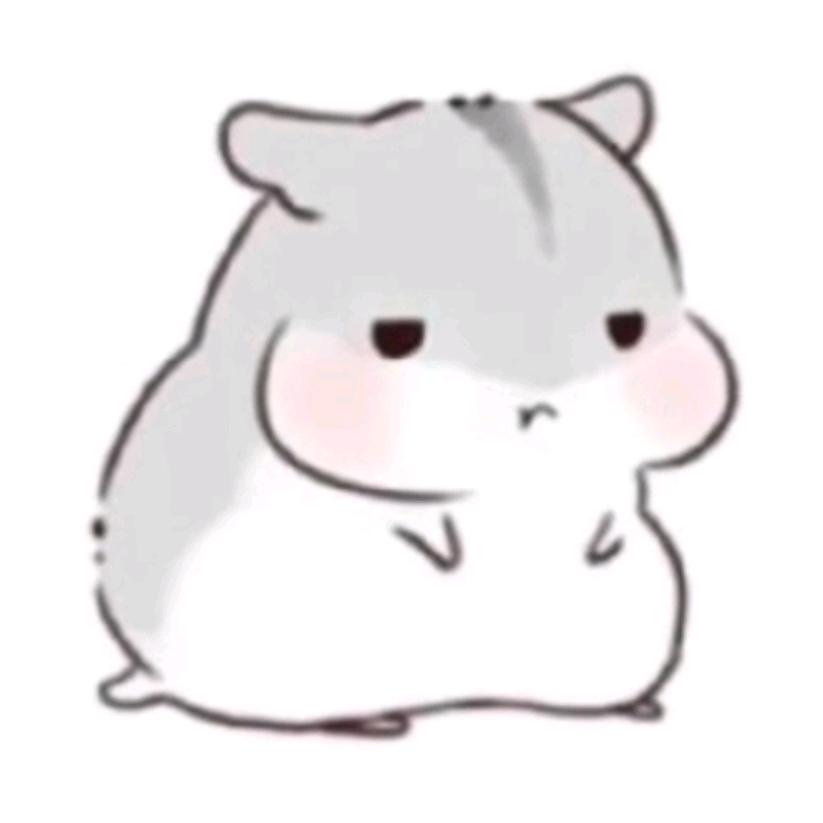耗子游戏