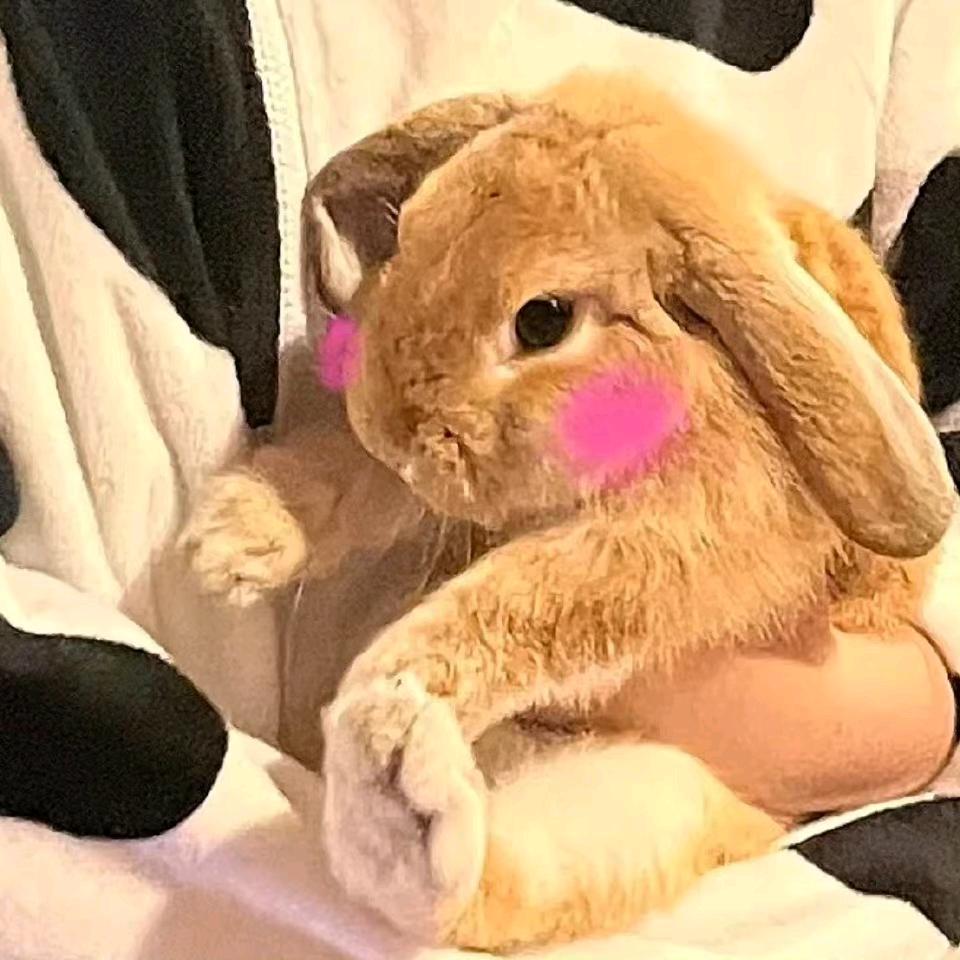 兔几呐呐