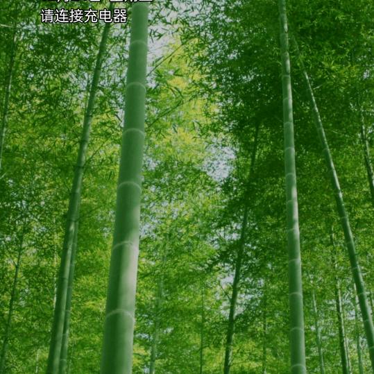 曙光