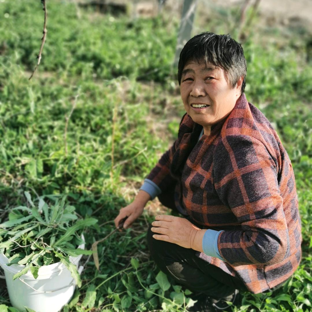 爱生活的李大娘