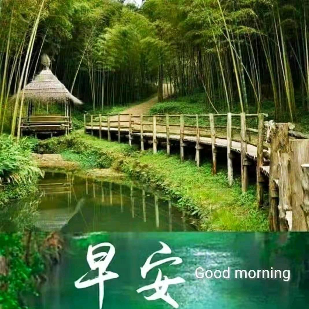 勿忘你，勿忘我！