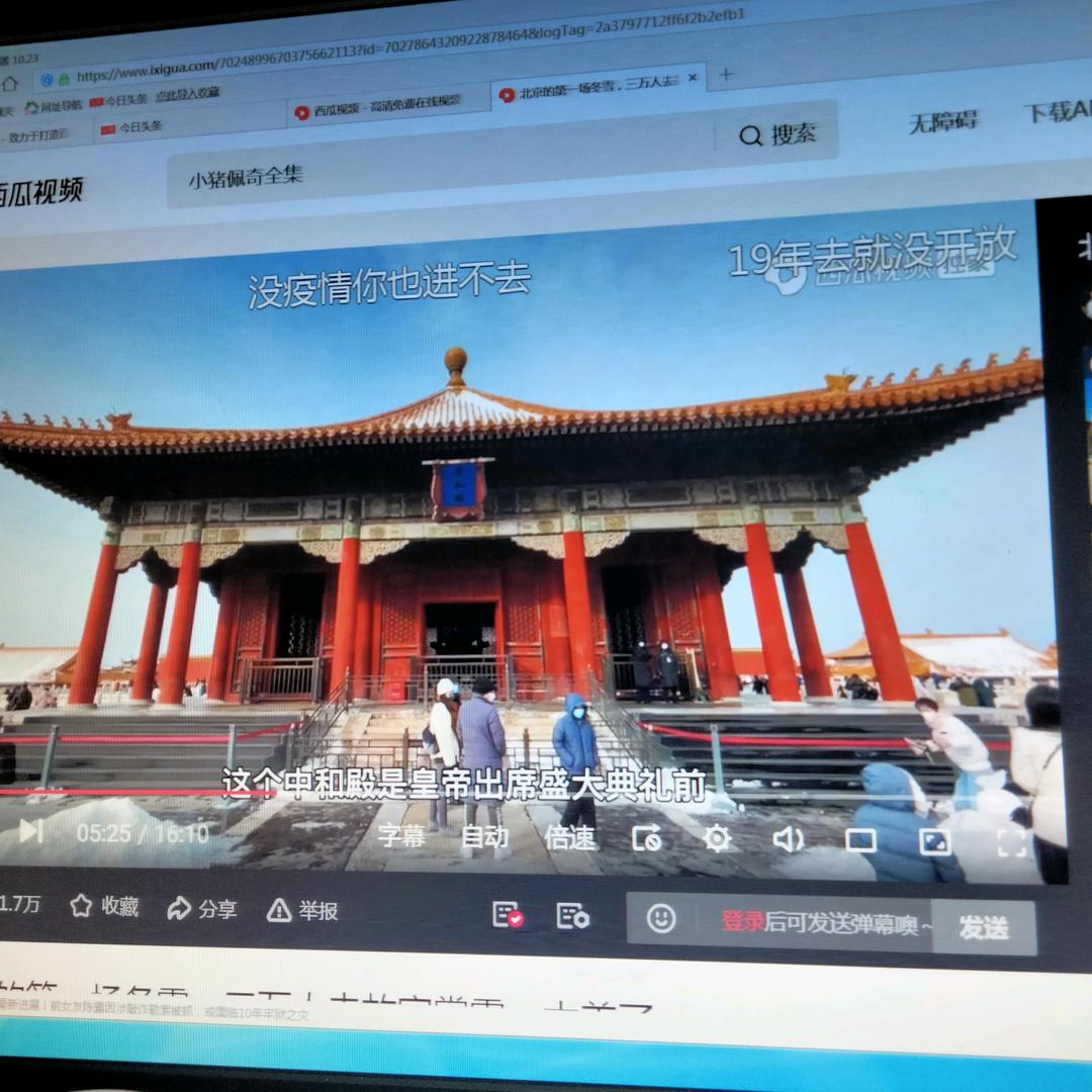 绿叶红啦
