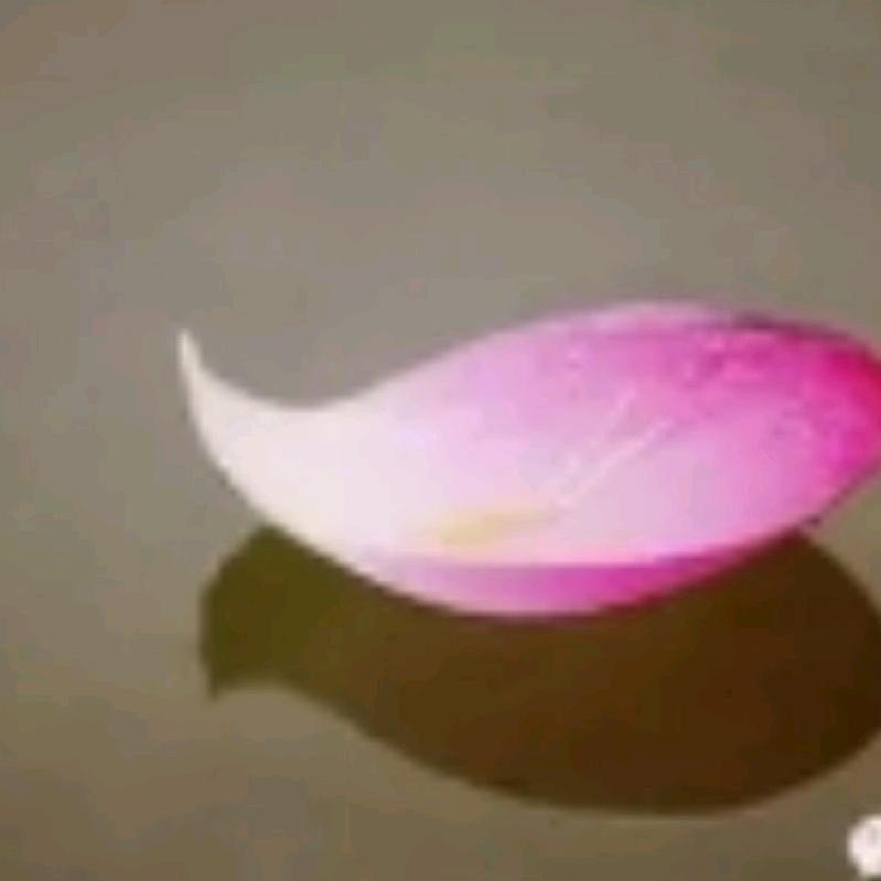秋意渐浓