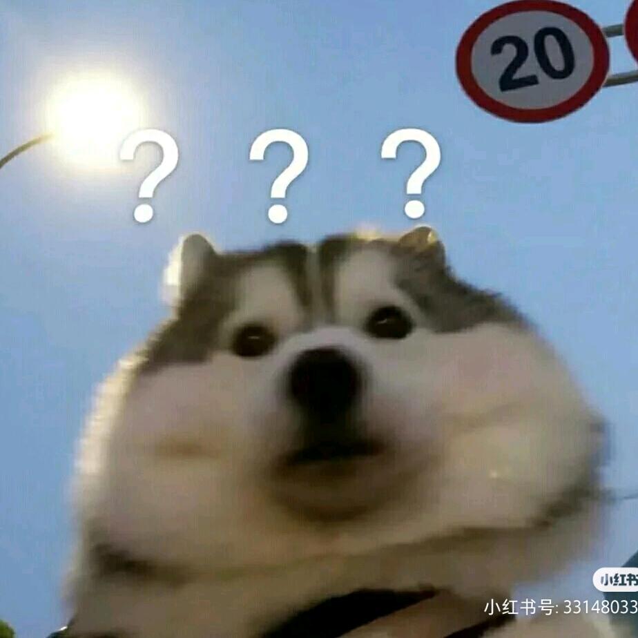 小小小小小吴