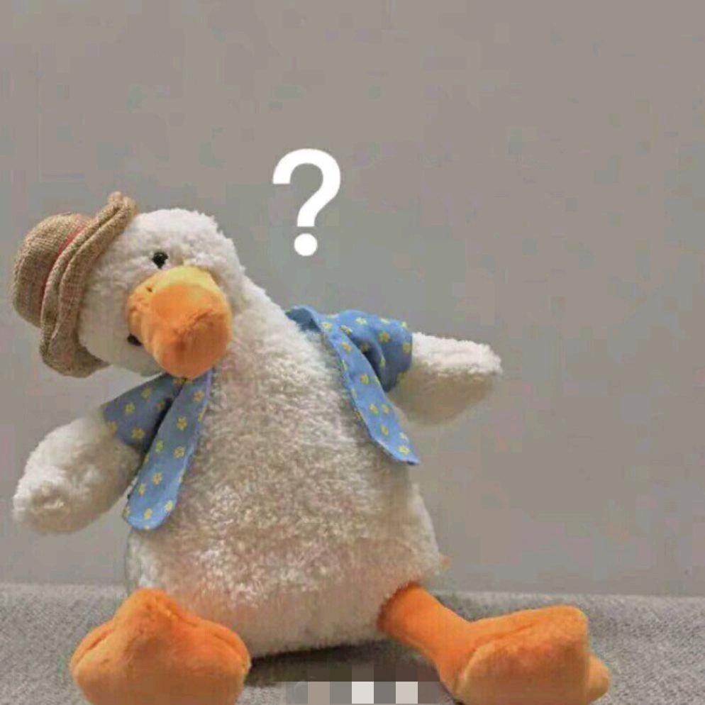 Sunflower-段段🌼