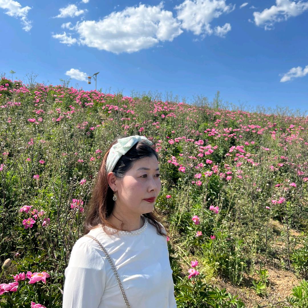 梅子半熟