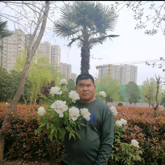 阿亮盲人推拿盛世佳园店