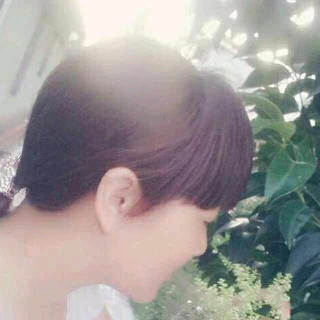 秦梅