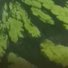 迎风布阵