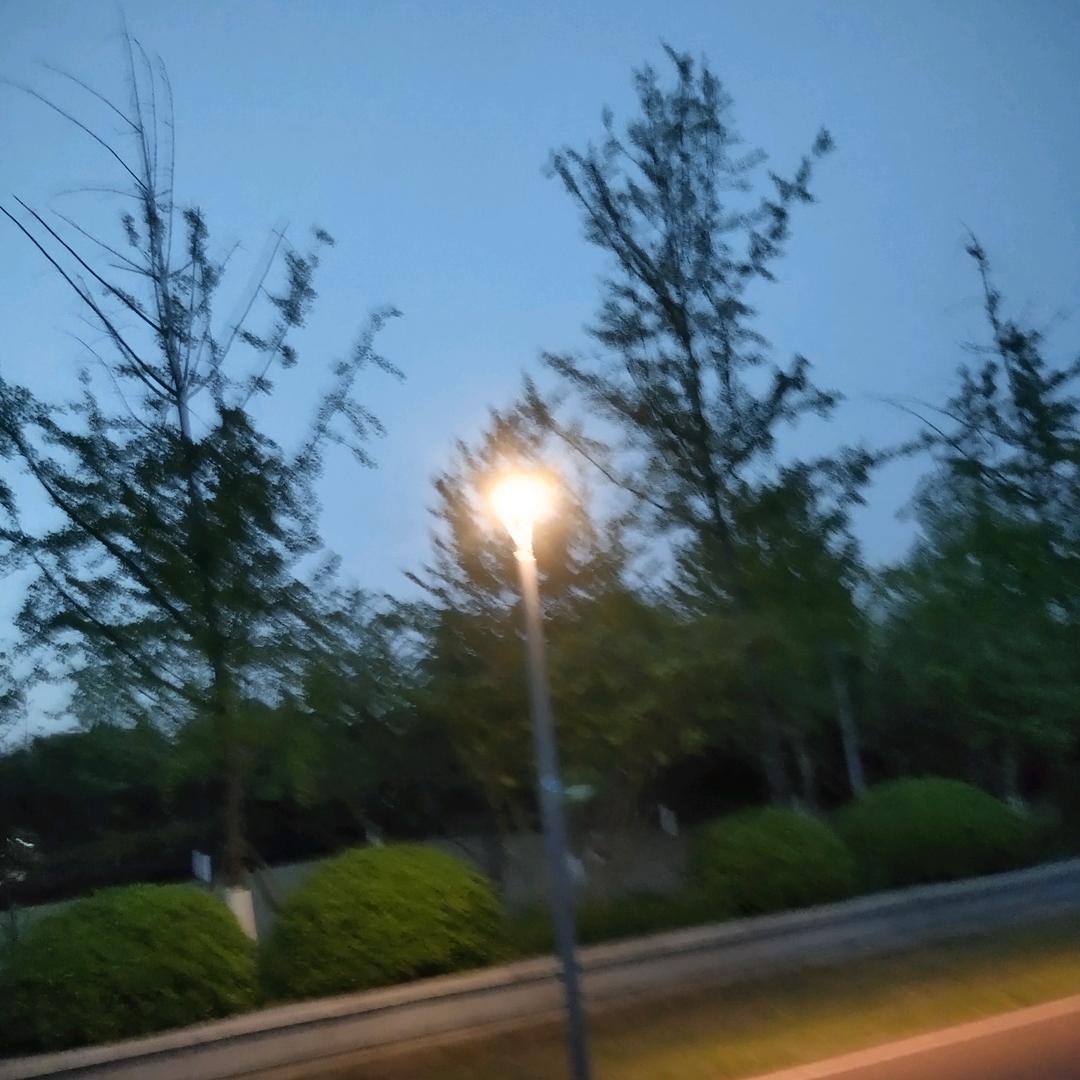 随意