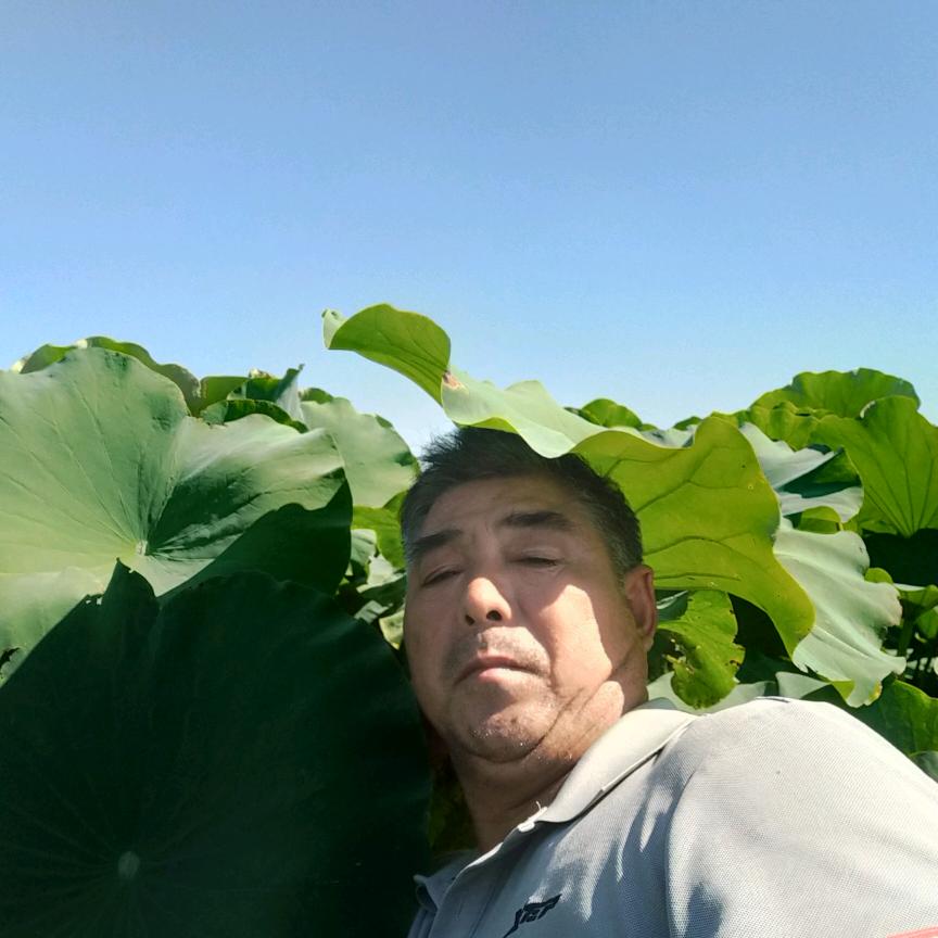 我想吃软饭