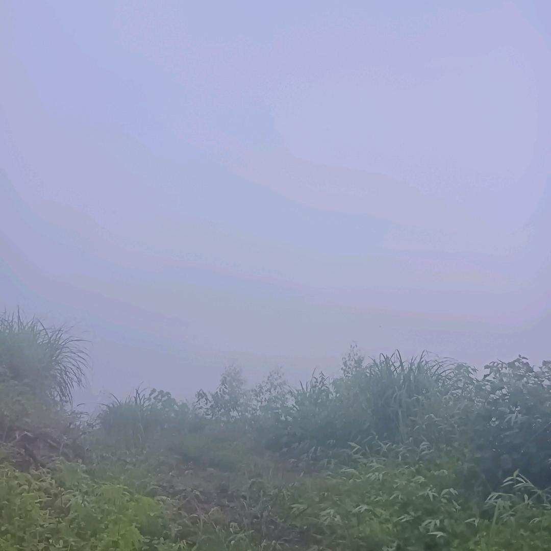 s111111188888888