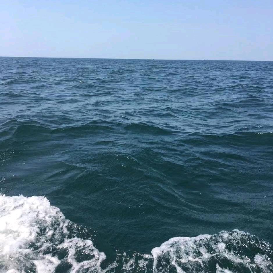 新时代的新农人