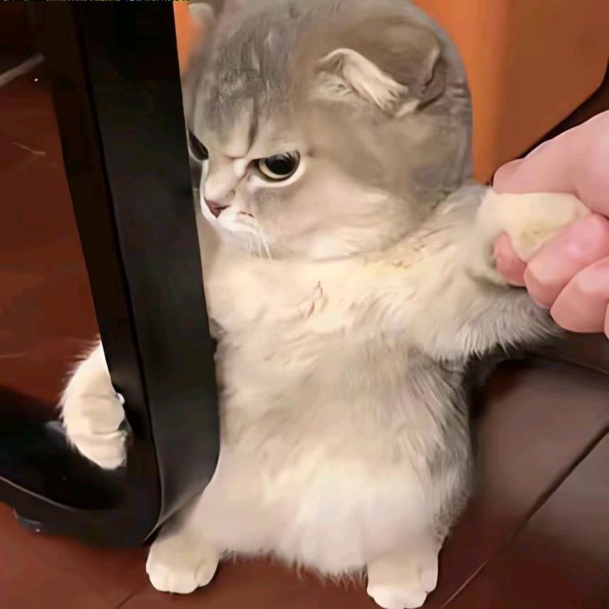 好食机(食品机械@包装设备)