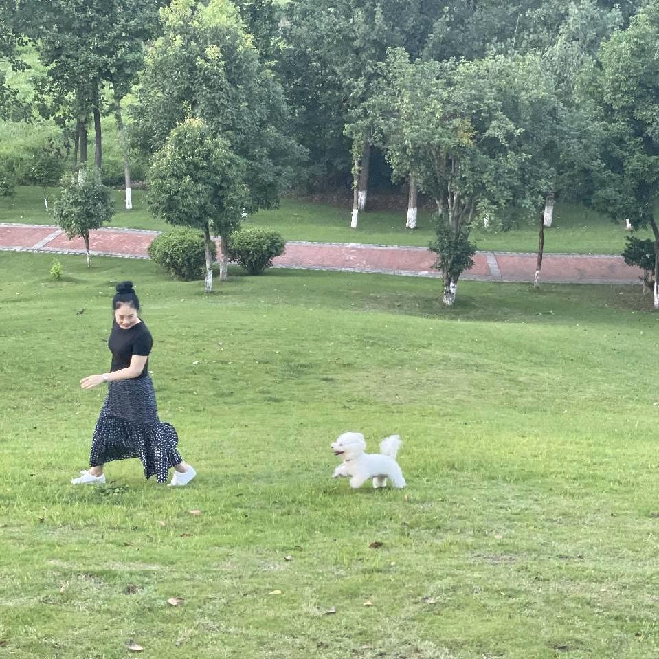 杨子