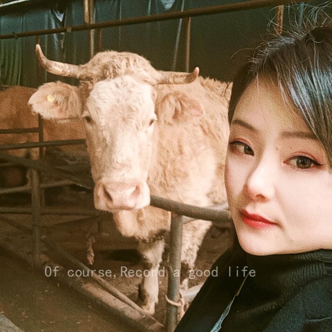 芷江牛妹