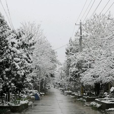 白  娃  🐉 ℘࿐