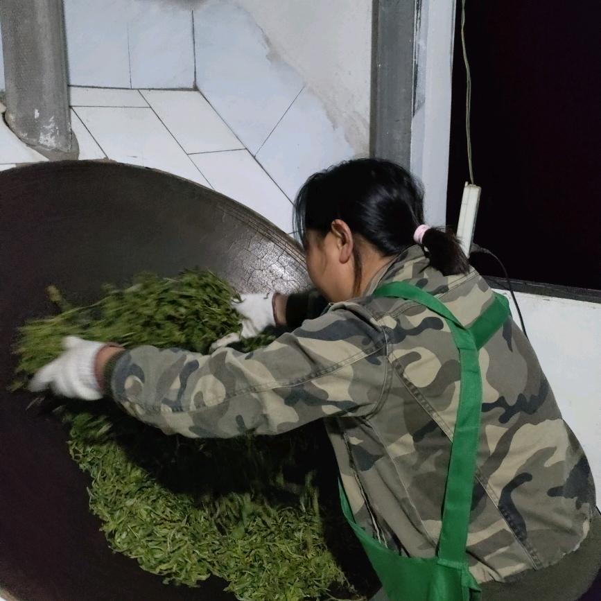 山西人远嫁云南，2玲，大嫂家的茶