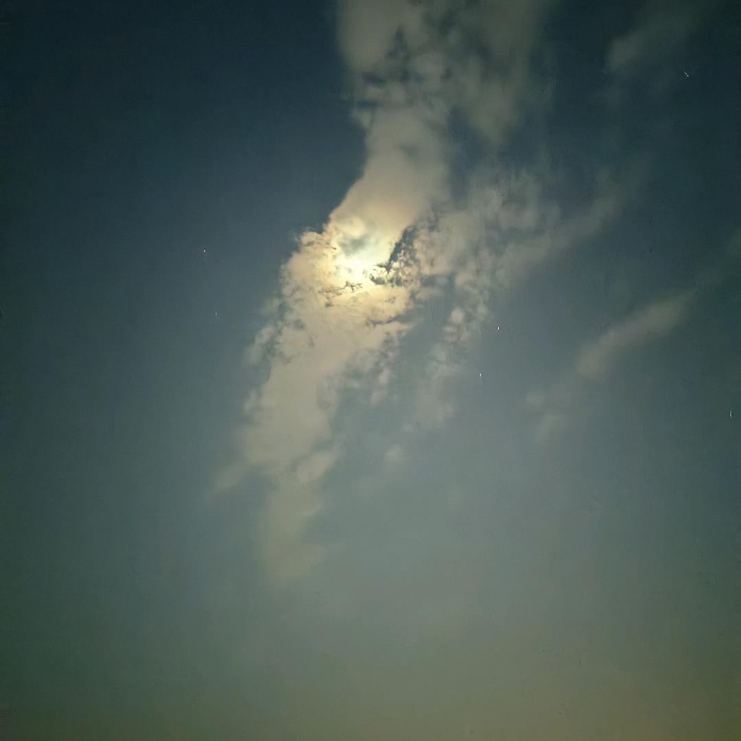 心月