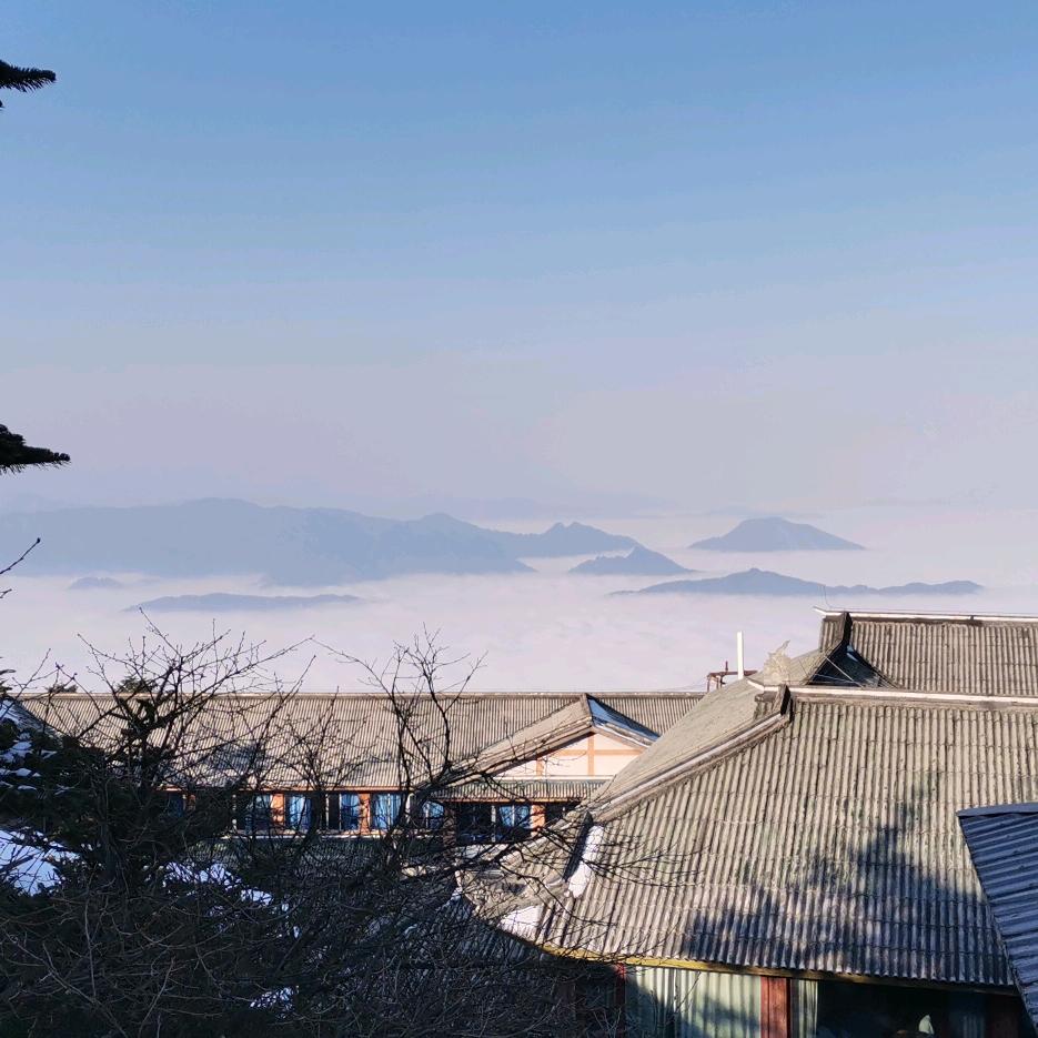 广济宋子恒农资