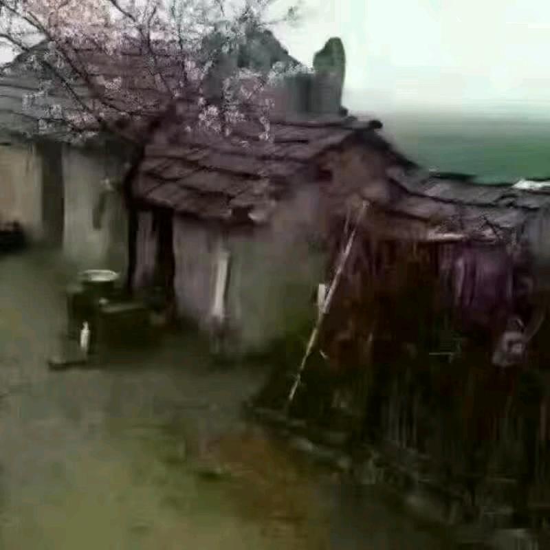 只记你的好🍓(74年3月虎)