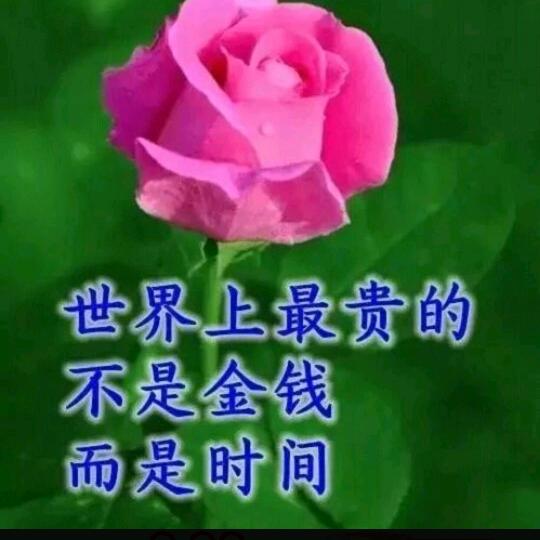 称心如意（拒私聊）