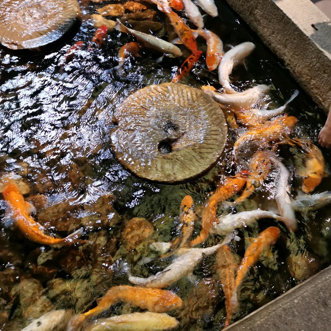 立泰图文