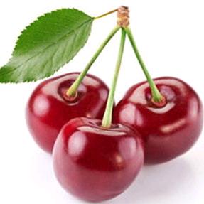 烟台海鲜批发零售🇨🇳