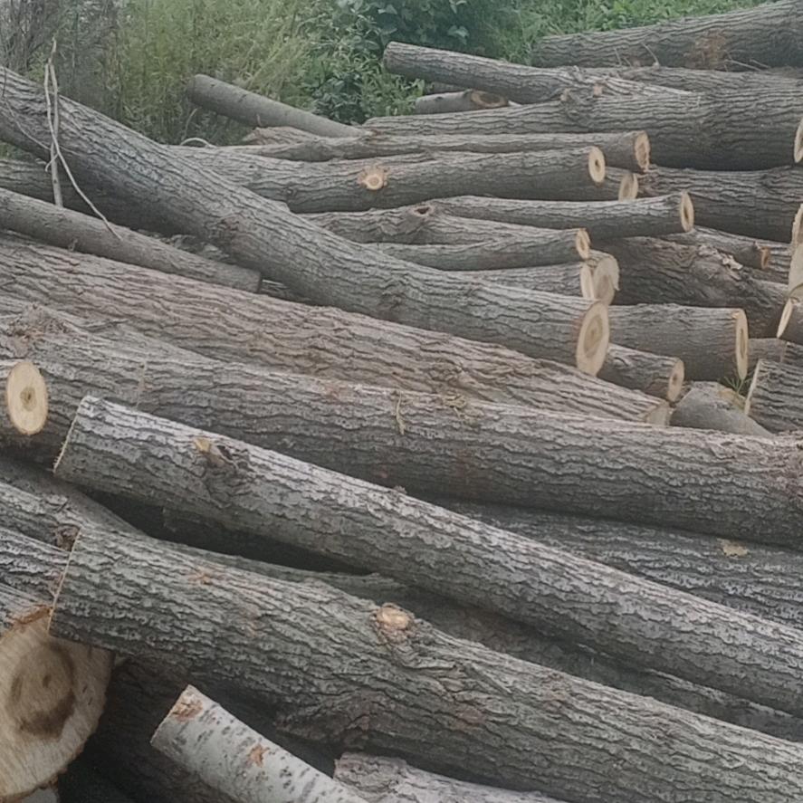 用户我命由我不由天13637035573