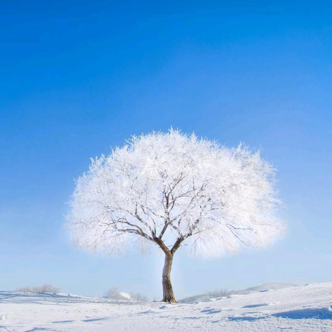 白与黑的指尖飞舞