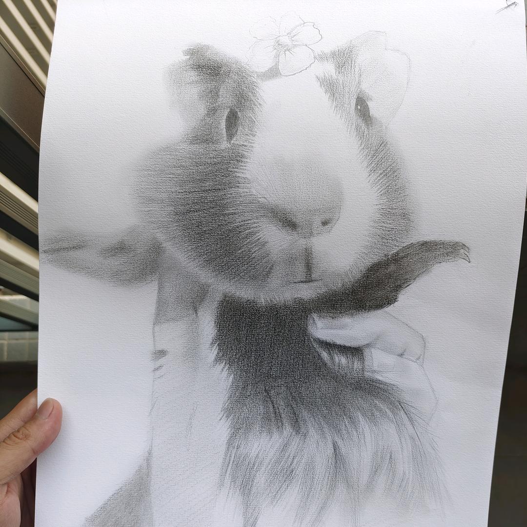 呆呆故世