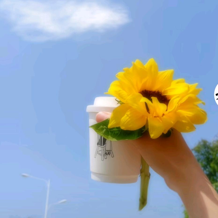 ꦿ゛: 💞ℒᎭℯ⃝偏爱