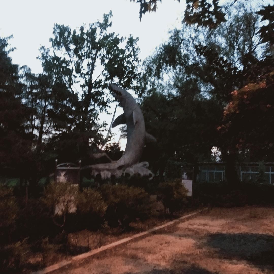 爱你一生