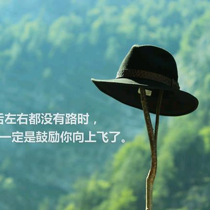 逆风而上