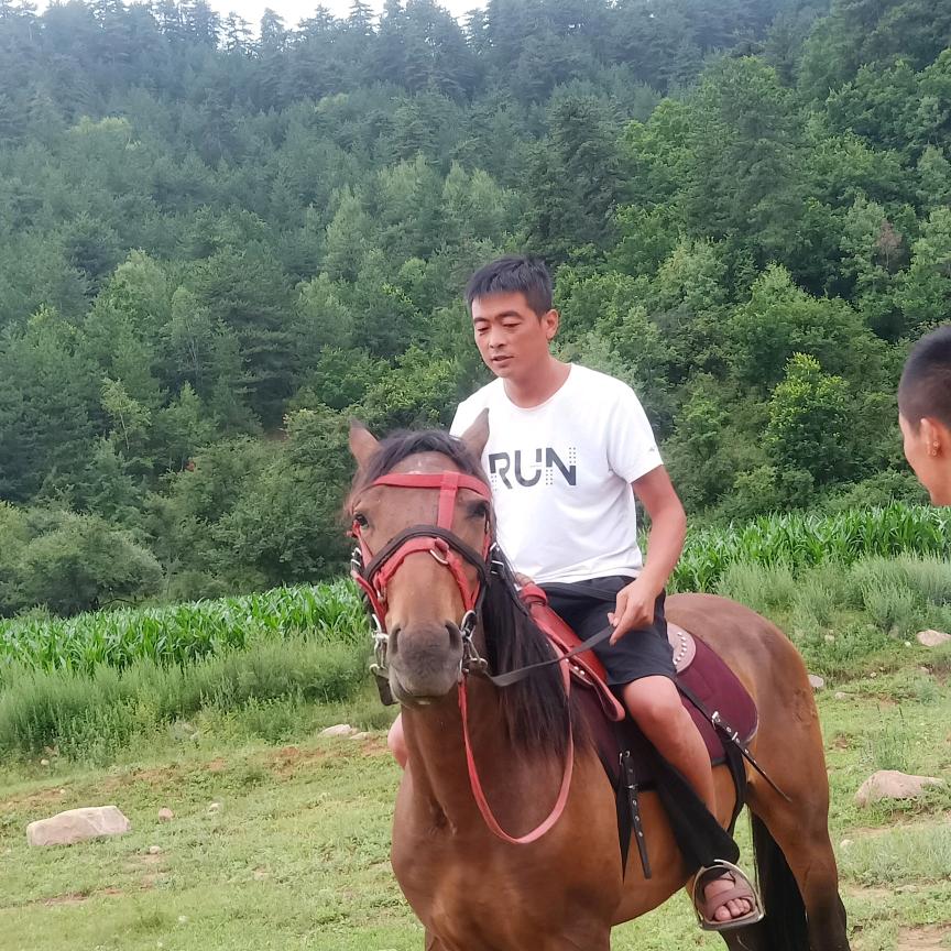 社会他斗哥