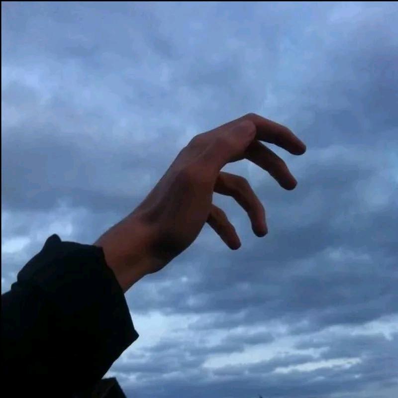 经纬线头像