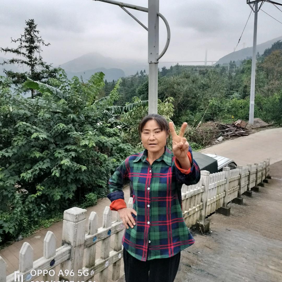 小飞蛾
