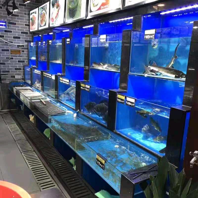 鑫之杰鱼缸厂