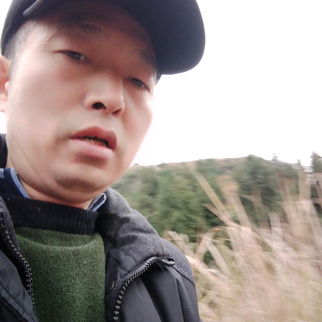 中原一点红