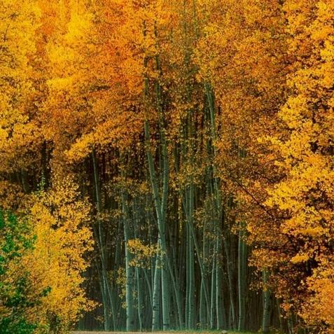 开心每一天(๑><๑）