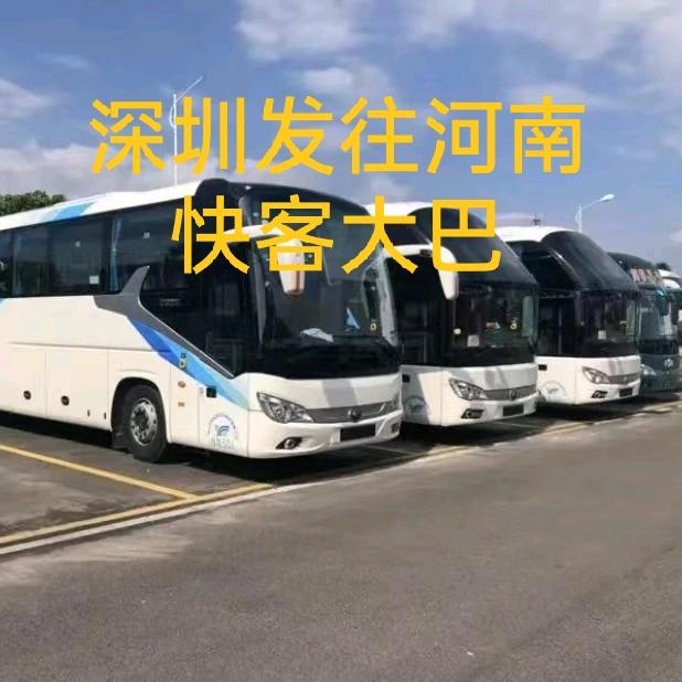 深圳发往河南豪华大巴车，九坐豪华商务车