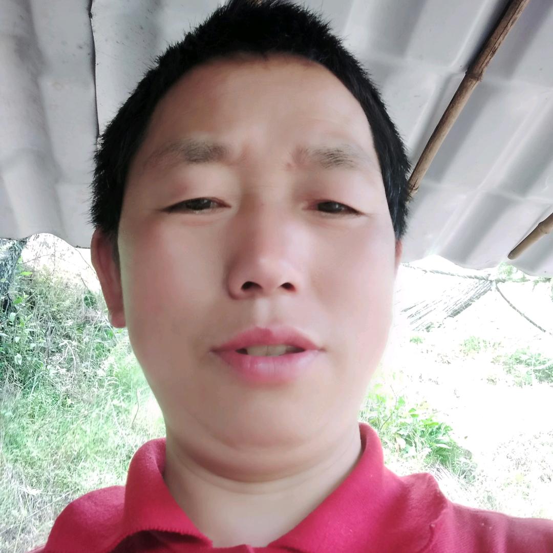 瞿敏