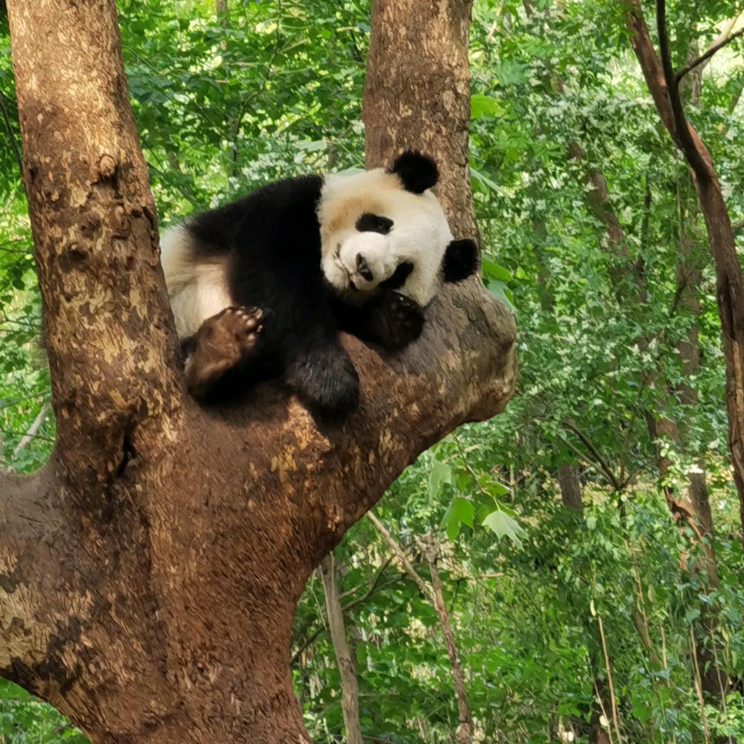 金连快乐