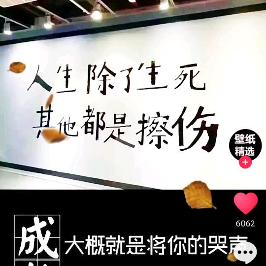 熟悉的   陌生人