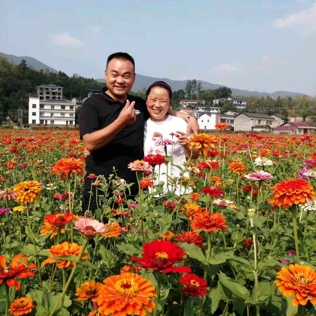 桑植土菜馆